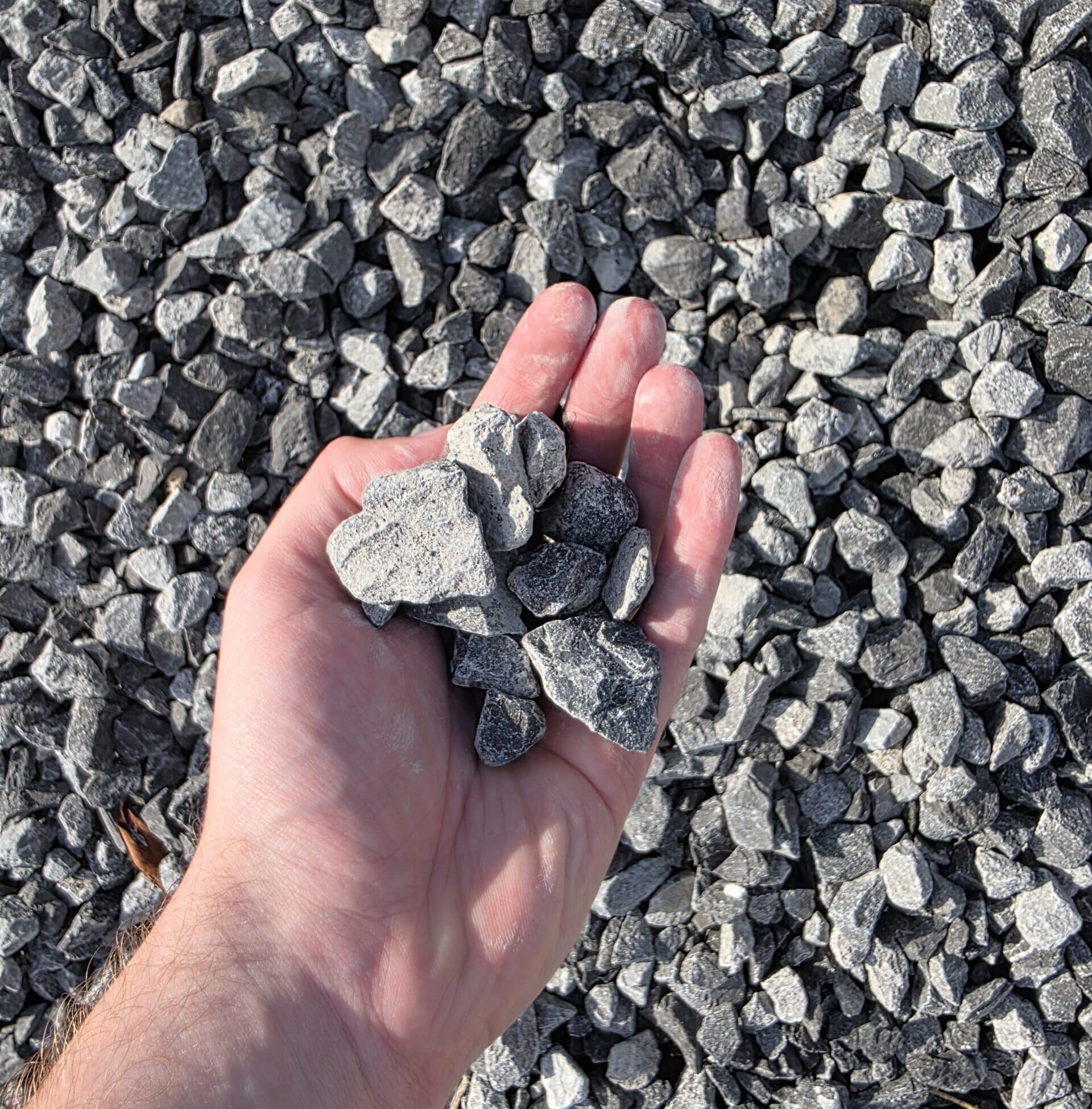 Driveway gravel in hand showing size